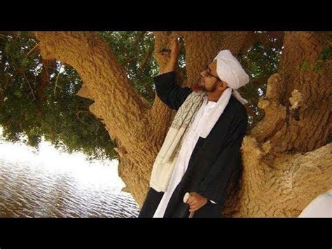 Pohon Sahabi Sahabat Nabi Yang Masih Hidup Hingga Kini Youtube
