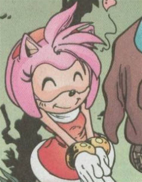 Amy Rose Archie Comics Amy Rose Archie Comics Rose Pictures