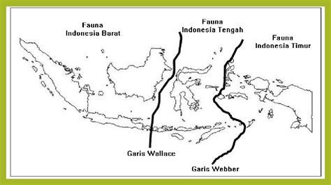 Peta Persebaran Suaka Margasatwa Di Indonesia Bintangutama Github Io