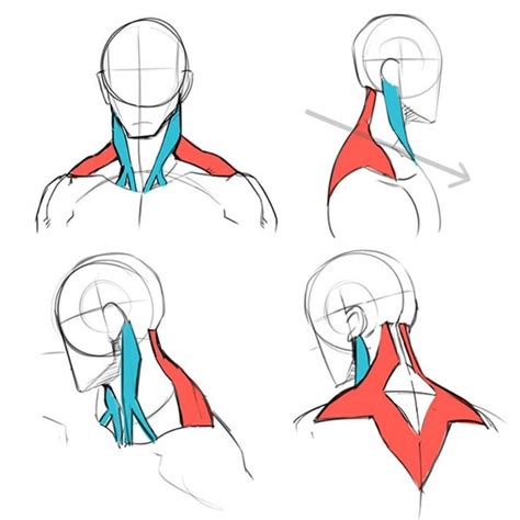 Amazing Neck Anatomy References By Ichi 😍 Long Time I Struggled