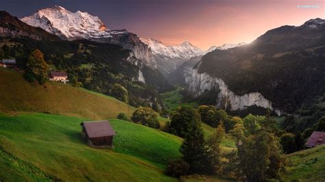 Francja została mianowania ambasadorów szwajcarii od 16 wieku i pierwszej reprezentacji. Lasy, Drzewa, Alpy Berneńskie, Wschód słońca, Dolina ...