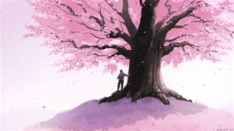 Cherry Blossom By Isohei On Deviantart
