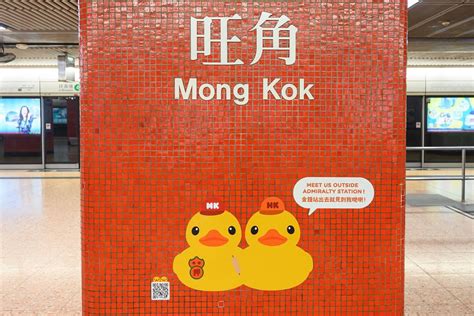 About Us PopArtFusion