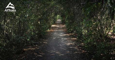 Best 10 Trails in Hugh Taylor Birch State Park | AllTrails