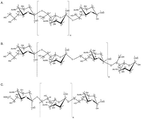 Repeat Structures Of Psa Homopolymers A Poly 28 Linked Sialic Acid