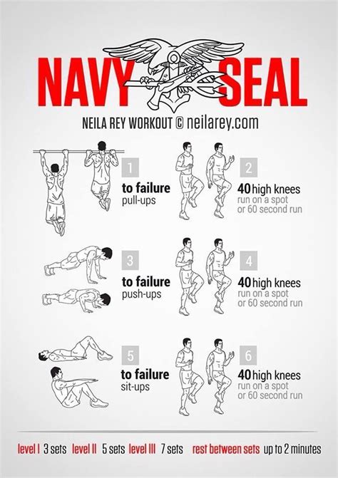 Navy Seal Bodyweight Workout Musclebuildingworkouts