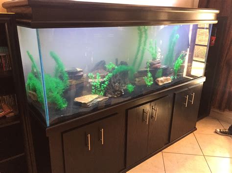 Custom Fish Tank Images Gallery