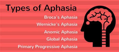 What Are The Different Types Of Aphasia National Aphasia Association Aphasia Anomic