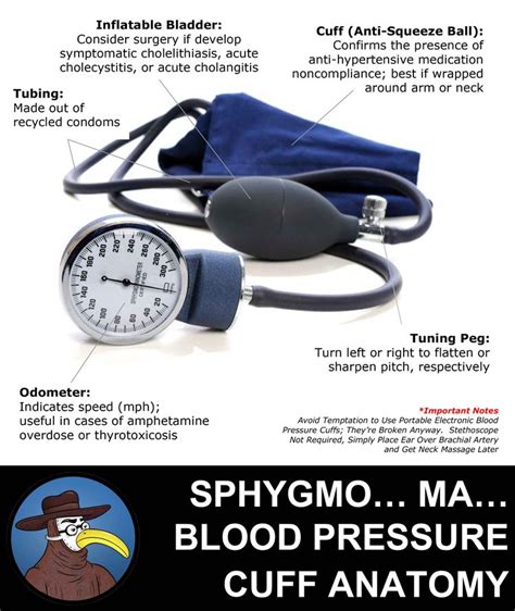 Anatomy Of A Blood Pressure Cuff Gomerpedia