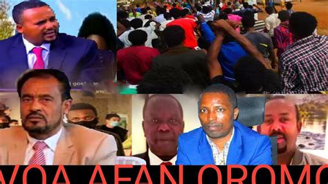Oduu Owitu Voa Afan Oromo March112020 Youtube