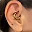 25 Subtle Inner Ear Piercings That Are Dazzling Surprises
