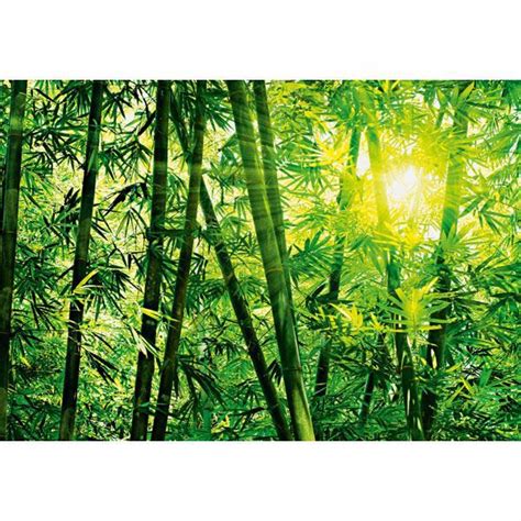 Bamboo Forest Wall Mural Dm123 Bamboo Forest Photomural