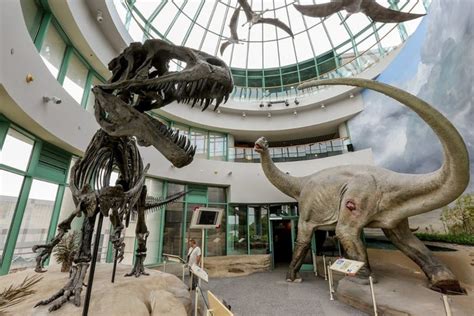 The North Carolina Museum Of Natural Sciences Is The Most Visited