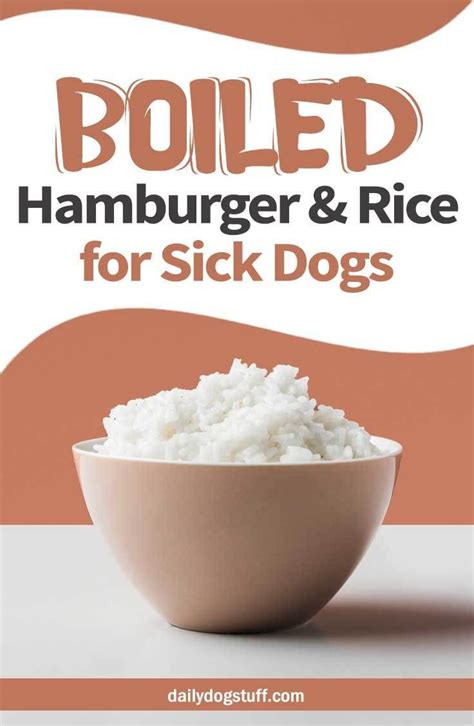 Is Rice Good For Diarrhea In Dogs