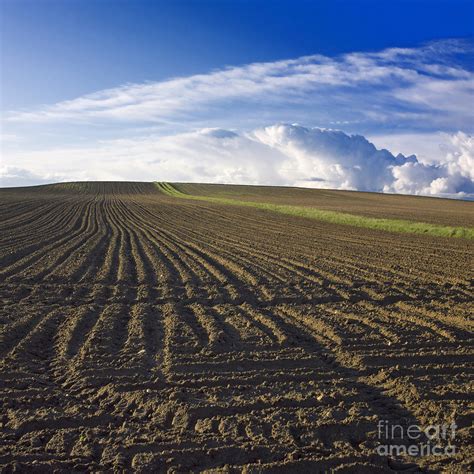 Plowed Field In Limagne Auvergne France Europe Photograph By