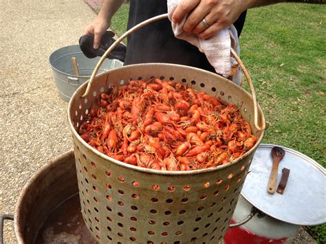 In Louisiana Easter Means Boiled Crawfish Hungry For Louisiana