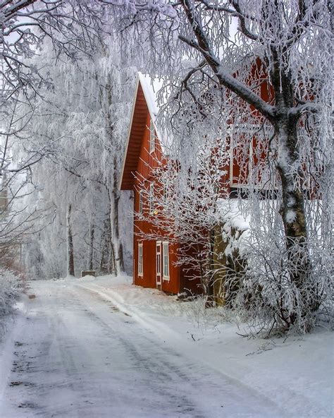 Norway 🇳🇴 Winter Szenen Winter Love Winter Magic Norway Winter