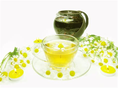 Herbal Tea With Daisy Medical Flowers Stock Image Image Of Herbal