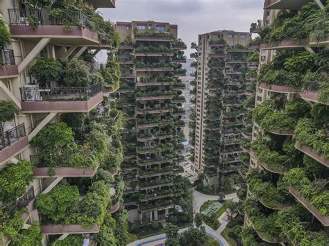 Chinese City Welcomes Another Vertical Forest In Concrete Jungle