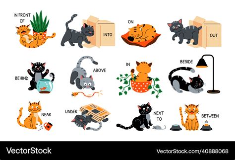 Cat In English Prepositions Cartoon Cute Near Vector Image
