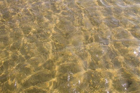 Texture Of Ripple Sea Water With Sand Bottom Stock Photo Image Of