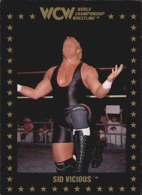 1991 Wcw Collectible Trading Cards Championship Marketing Sid Vicious No19 Pro Wrestling