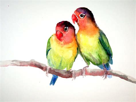Watercolor Love Birds At Explore Collection Of Watercolor Love Birds