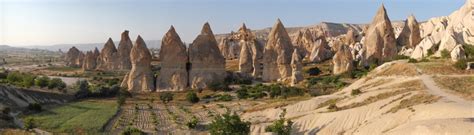 Kongre ve sempozyumlardaki görevlerin dağılımı; Nevşehir Hacı Bektaş Veli Üniversitesi - Moleküler ...
