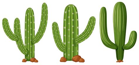 Cactus Clipart Cute Cactus Clipart Etsy Sweden Clip Art Library