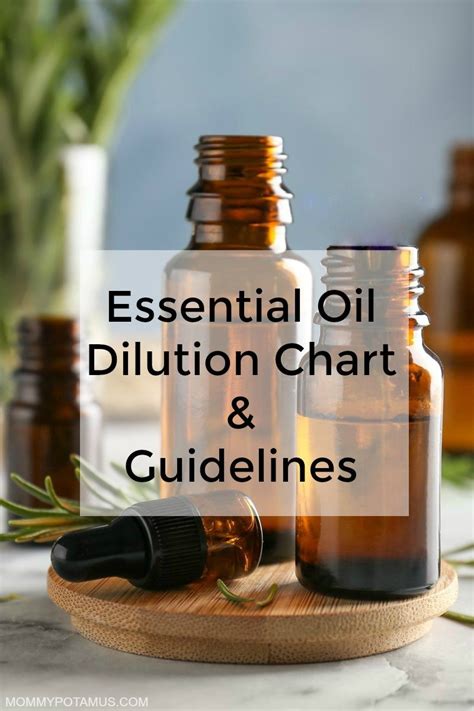 Essential Oil Dilution Chart And Guidelines