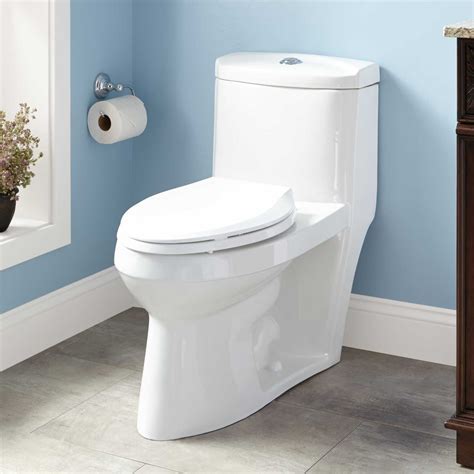 Kaminsky Dual Flush One Piece Elongated Siphonic Toilet High Efficiency Toilets Toilets And