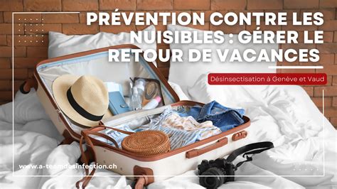 Prévention Contre Les Nuisibles Comment Protéger Sa Maison à Son Retour De Vacances A Team