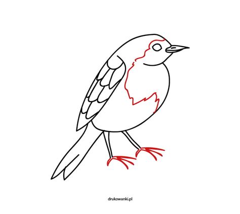 Jak Narysowa Ptaka Instrukcja Obrazkowa Dla Dzieci