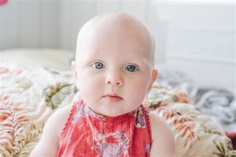 Bald Babies Stock Photos Pictures And Royalty Free Images Istock