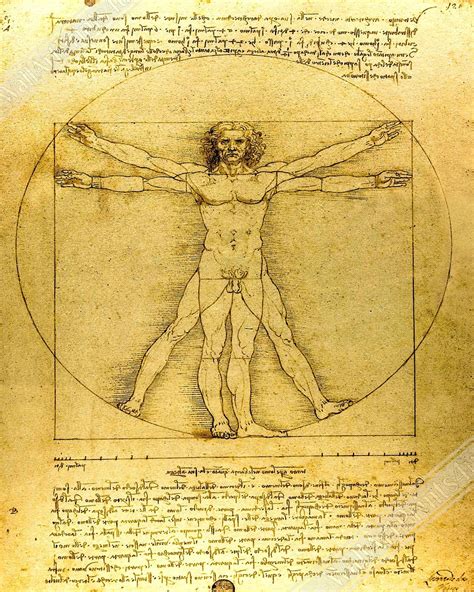 Vitruvian Man Print Leonardo Da Vinci 1490 Vintage Vitruvian Etsy