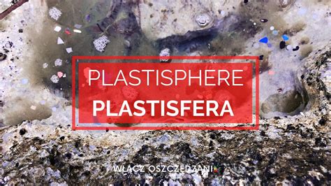 Plastisfera Plastisphere Włącz Oszczędzanie