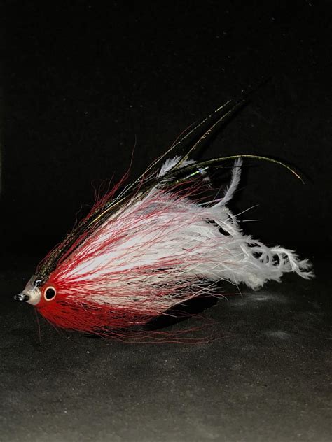 Ostrich Baitfish Fly Tying Maine Fly Fish