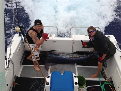 C Lure Fishing Chaters Kauai Hawaii March 11th 240 Blue Marlin