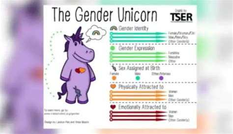 Gender Unicorn Worksheets