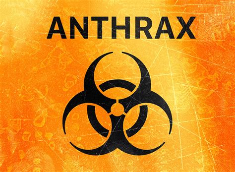Engineering An Enzyme To Treat Anthrax Without Antibiotics