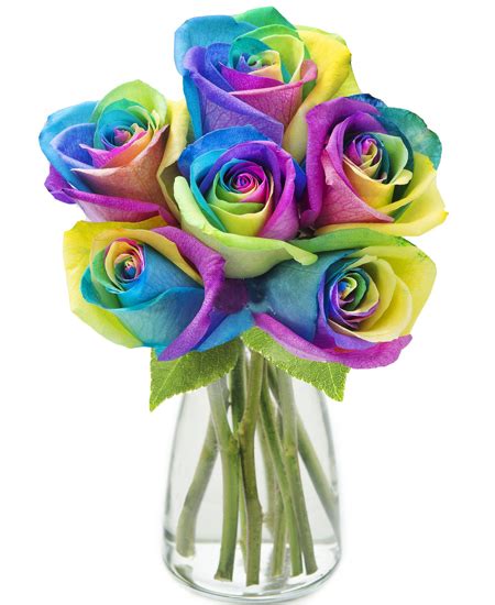 12 Rainbow Ecuadorian Roses With Free Vase Delivery All Over Philippines