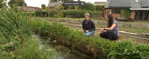 Chilterns Chalk Stream Project Appears On Itv Meridian News Chilterns