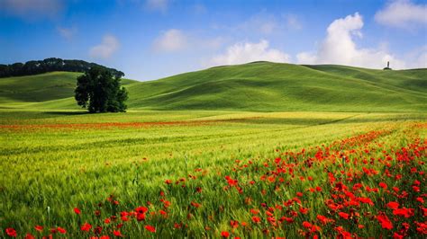 Download Wallpaper For 1400x1050 Resolution Beautiful Hills Meadow