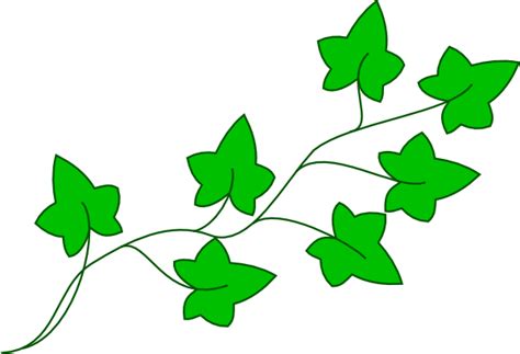 Free Green Vine Cliparts Download Free Green Vine Cliparts Png Images