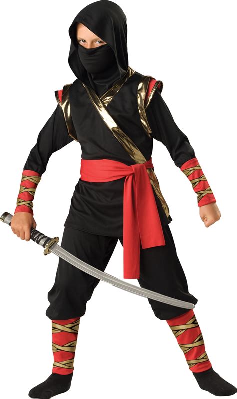 Boys Warrior Ninja Kids Costume Mr Costumes