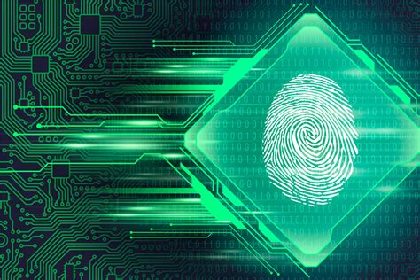Fingerprint Recognition System Architecture How It Wo