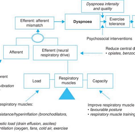 Pdf Breathlessness Fatigue And The Respiratory Muscles