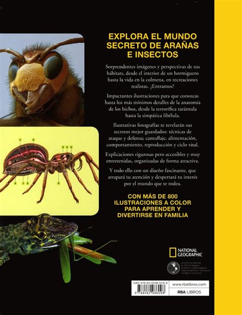 Bichos Con B Descubre El Fascinante Mundo De Los Insectos La Agroteca