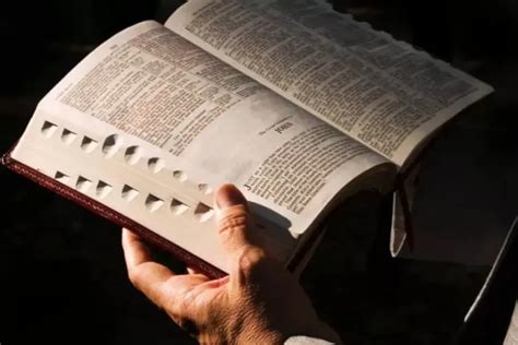 Bacaan Injil Katolik Hari Ini Jumat Februari Dilengkapi Dengan Bacaan Pertama Bintara