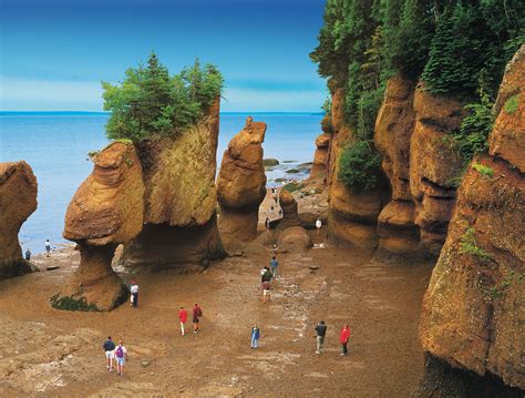 Phoebettmh Travel Canada Top Things To Do In Bay Of Fundy